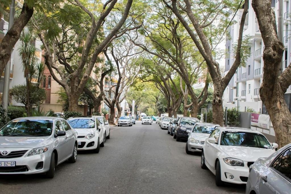 Rosebank Accommodation photo