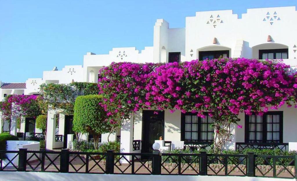 Verginia Sharm Resort & Aqua Park - zdjęcie 4