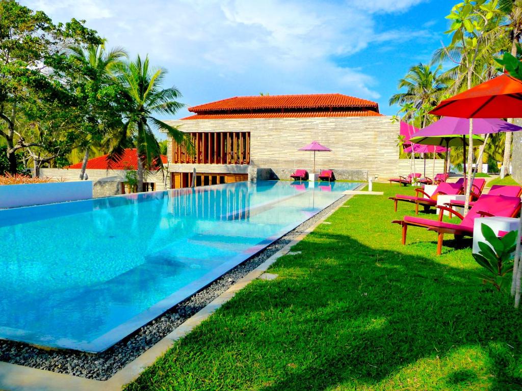 Ảnh 3