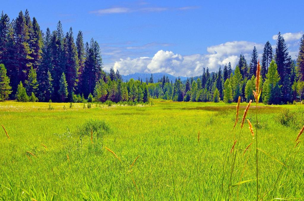 Leavenworth Camping Resort Tiny House Belle photo