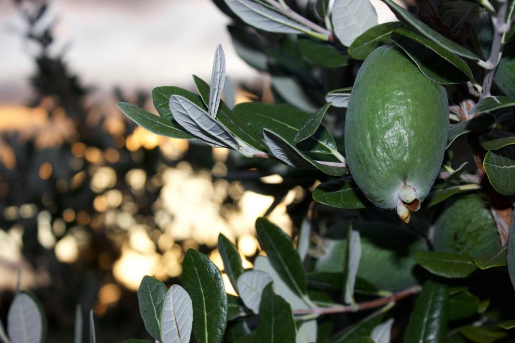 บริการและสิ่งอำนวยความสะดวก