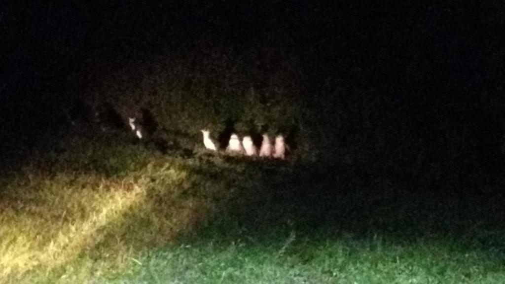 المنطقة المحيطة