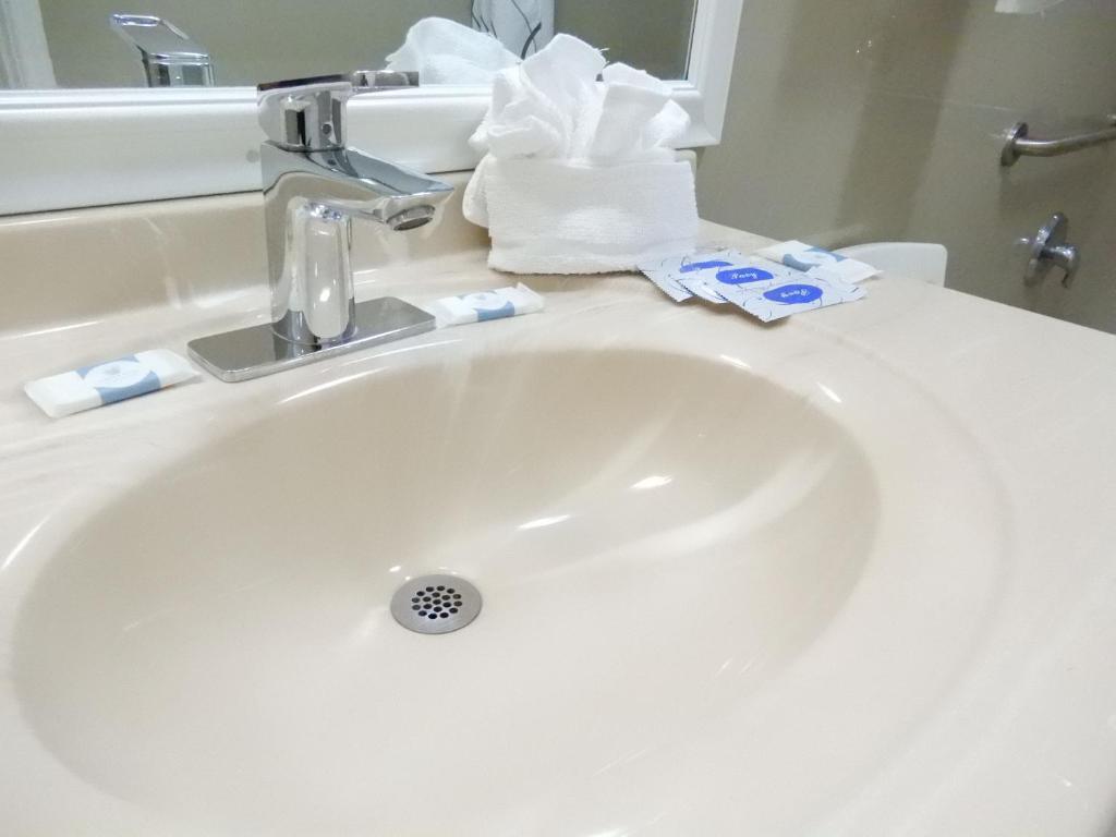 Siesta Inn McAllen photo