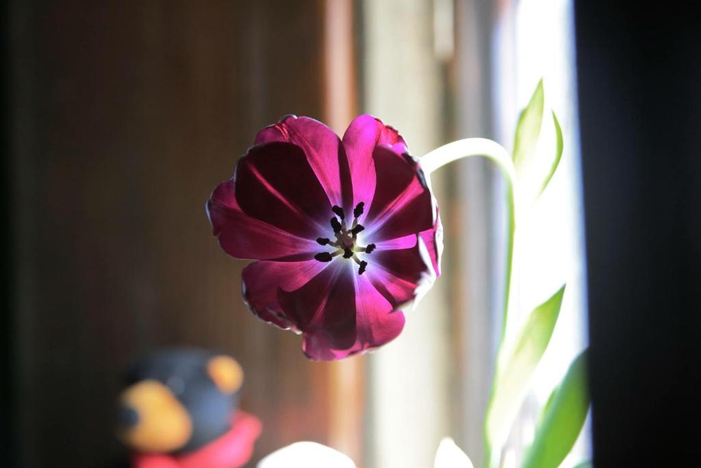 Just Coffee Hostel 2