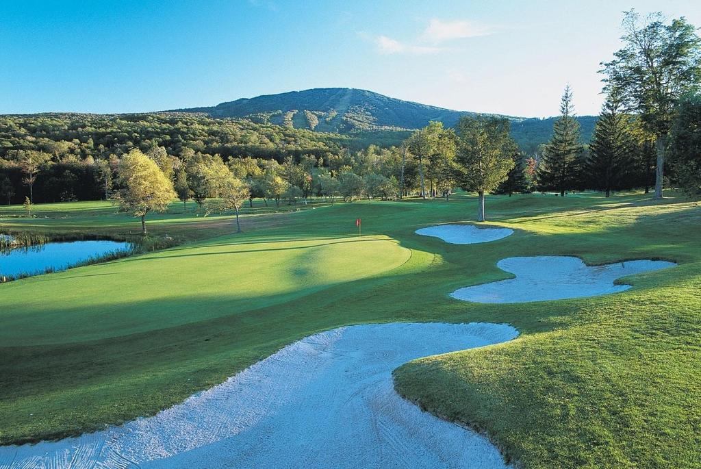 The Black Bear Lodge at Stratton Mountain Resort photo