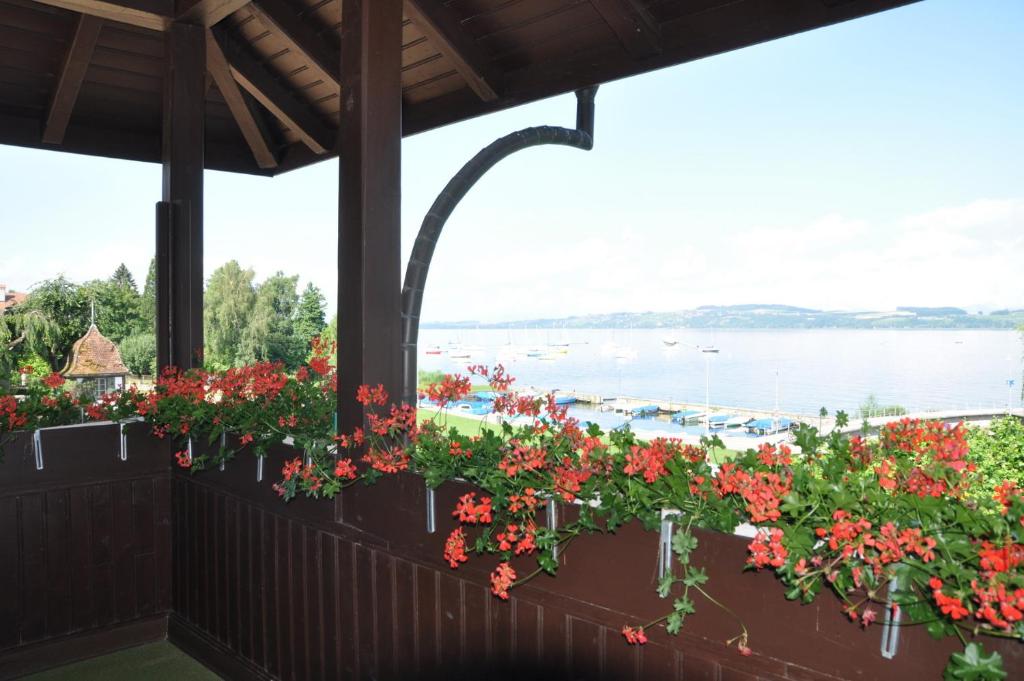 Hotel Schiff am See photo