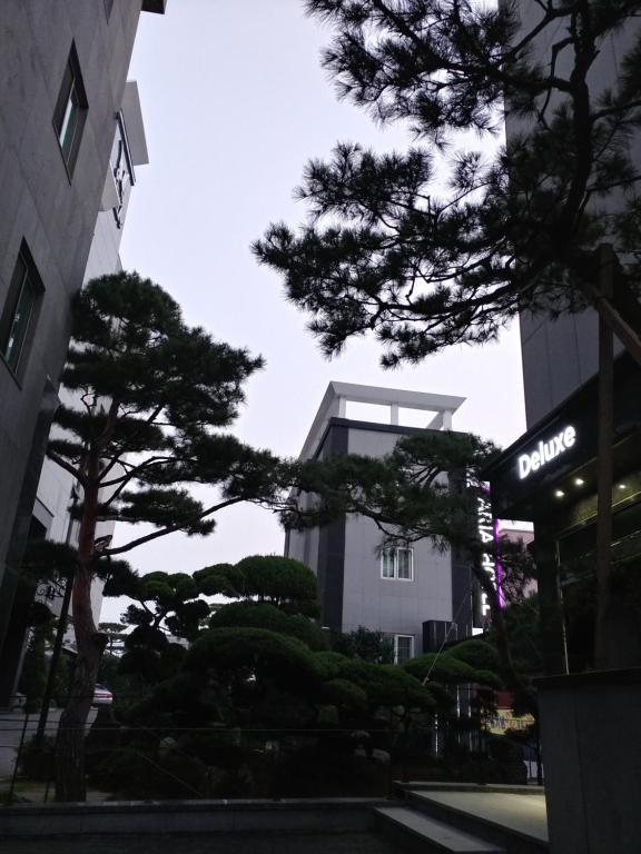 Seosan Aria Hotel photo