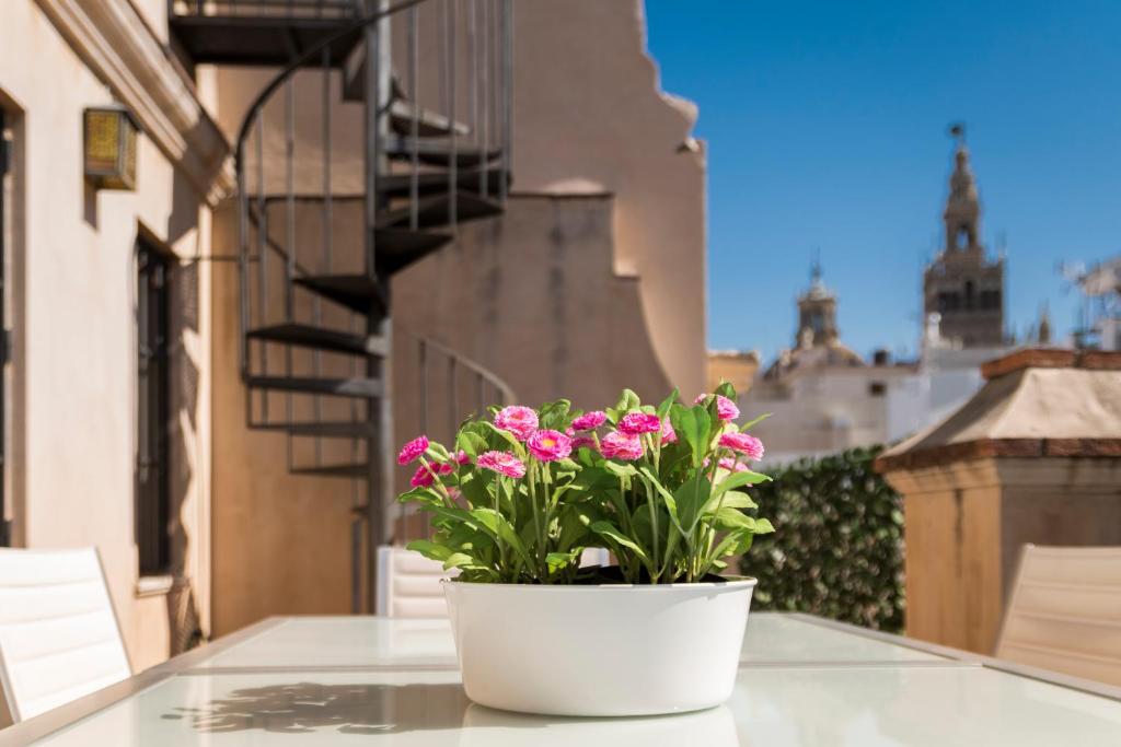 Genteel Home Vinuesa photo