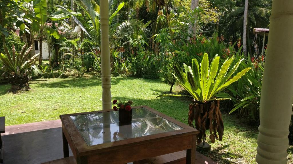 バード ヴィラ (Bird Villa)