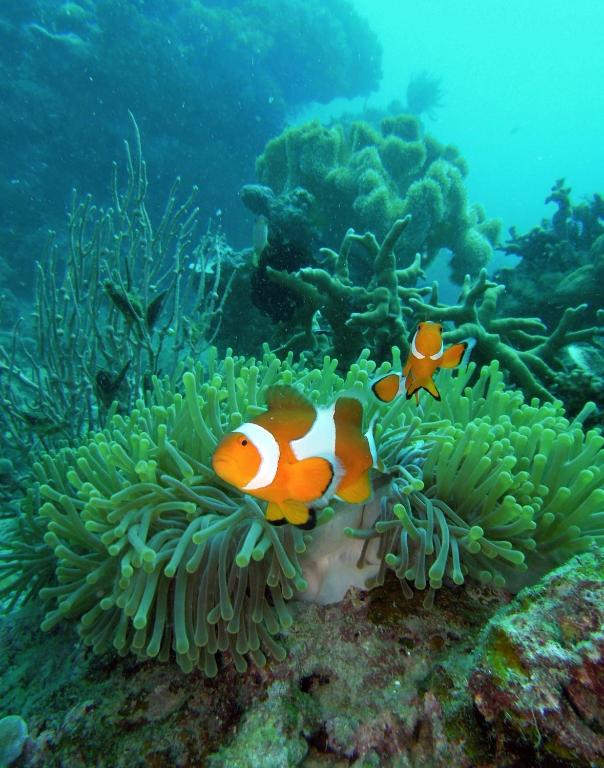 スポーツ/アクティビティ