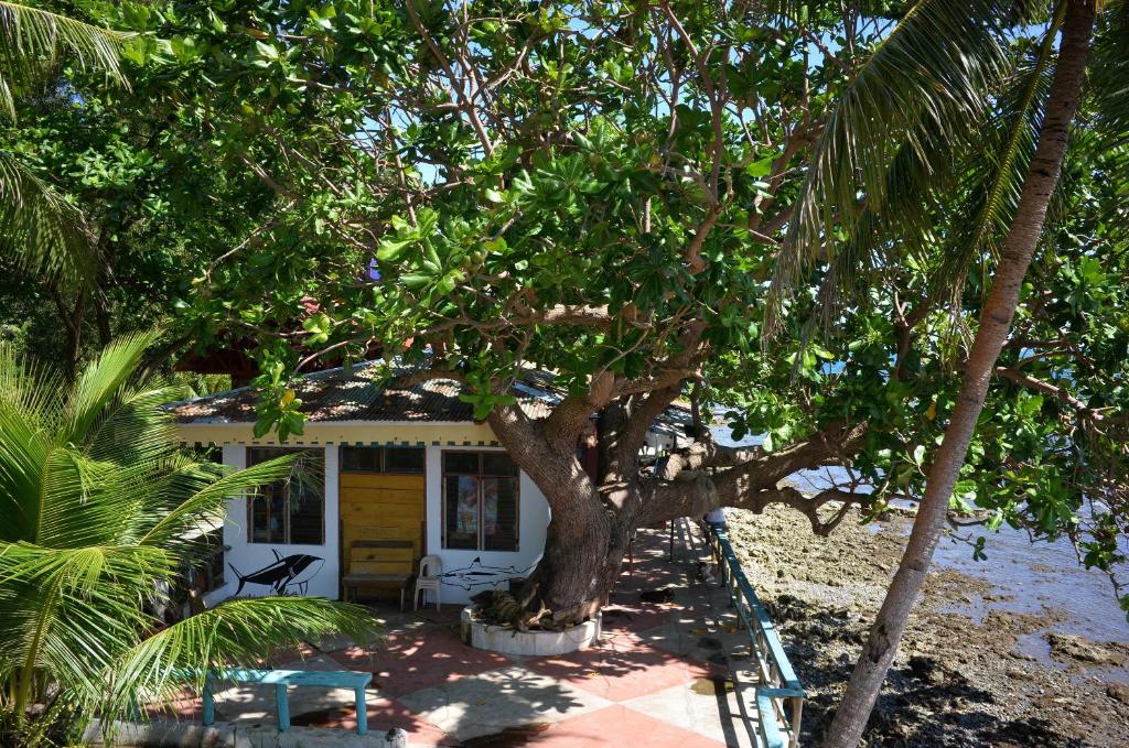 バルコニー/テラス