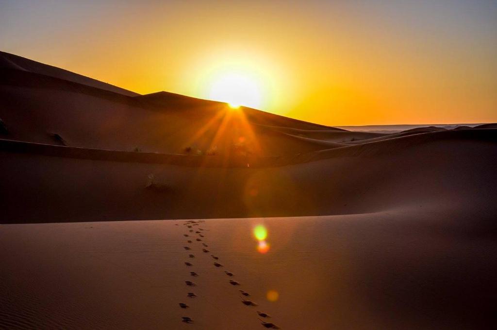 Sahara Tours luxury camp photo