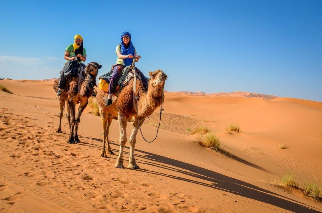 Sahara Tours luxury camp photo