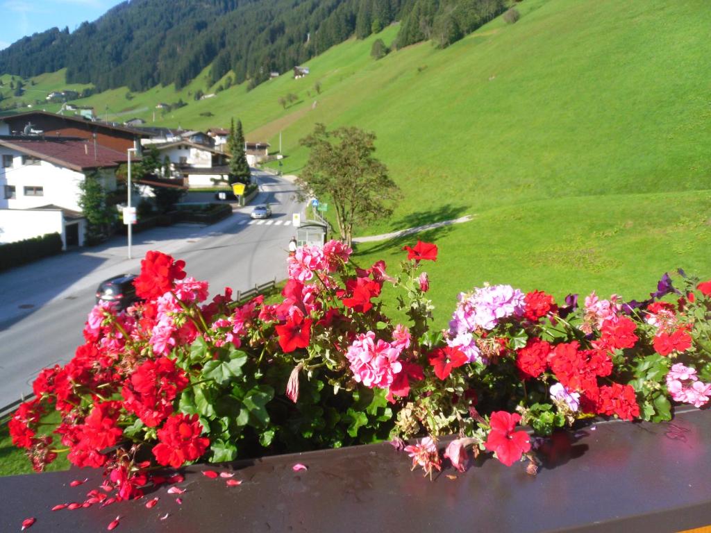 Grünwaldhof - 5