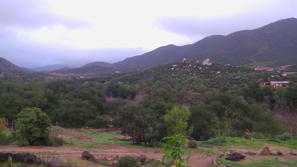 Surrounding environment