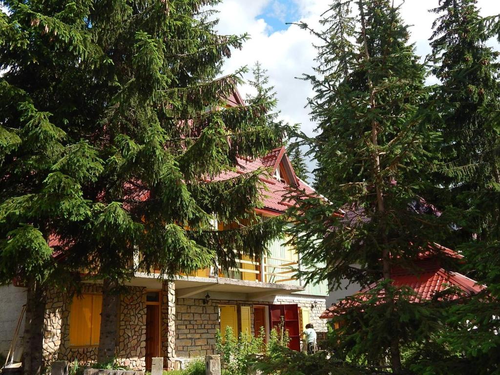 Smreka Vlašić, Vlašić