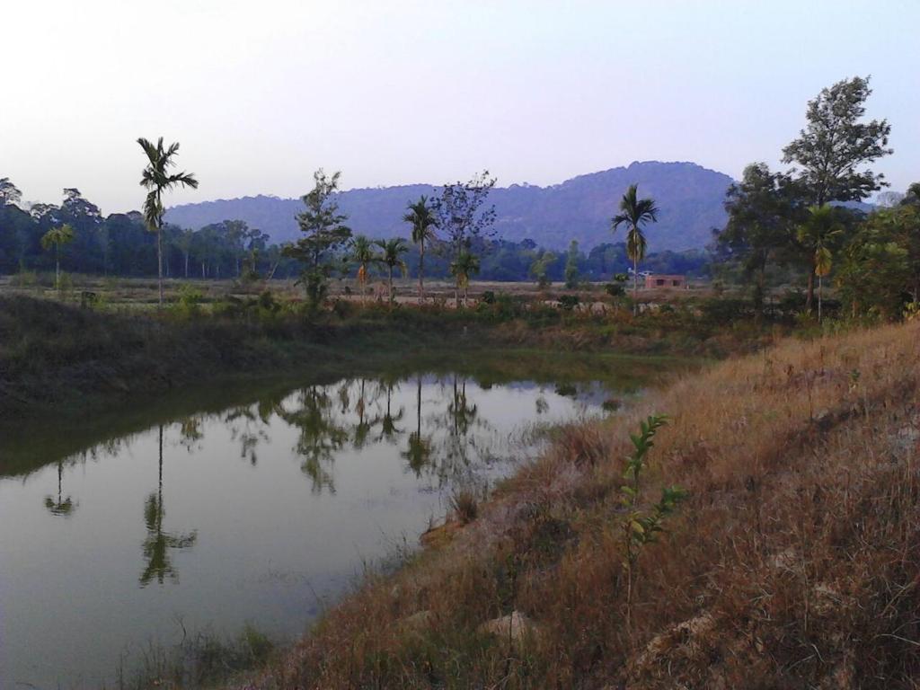 Simply Coorg Estate Villa photo
