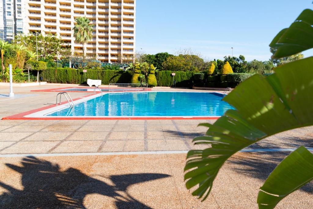 Apartamentos Paraiso 10 by Gestaltur — Swimming pool in Benidorm, Valencian Community