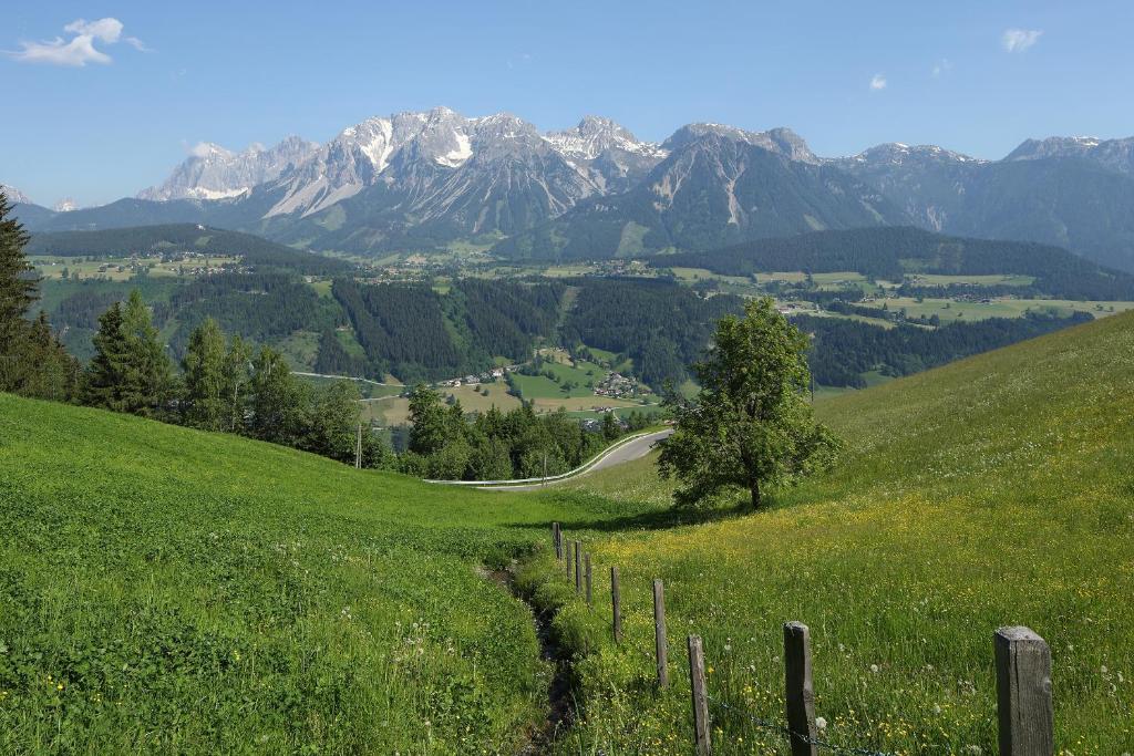 Surrounding environment