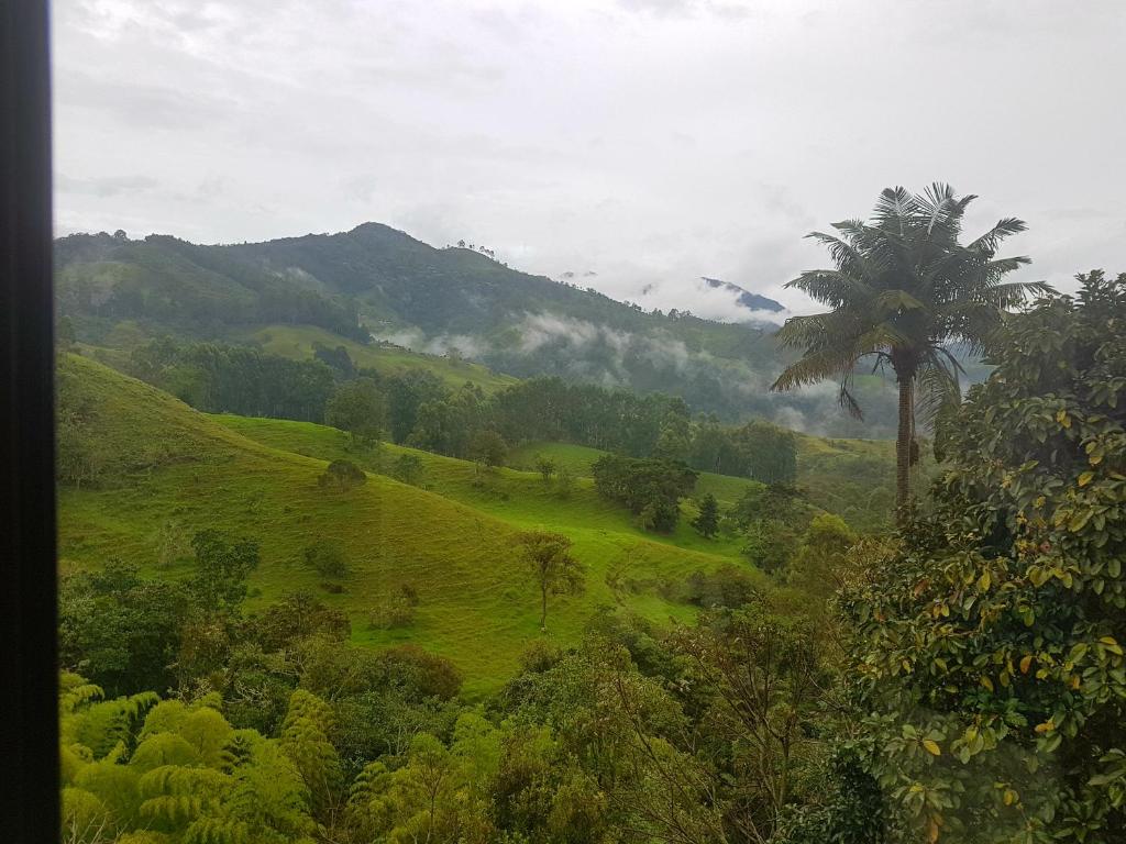 Mirador de los Cedros photo