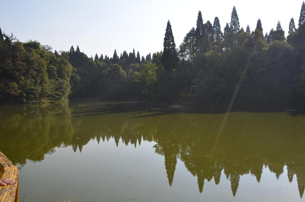 Shree Antu Community Homestay photo