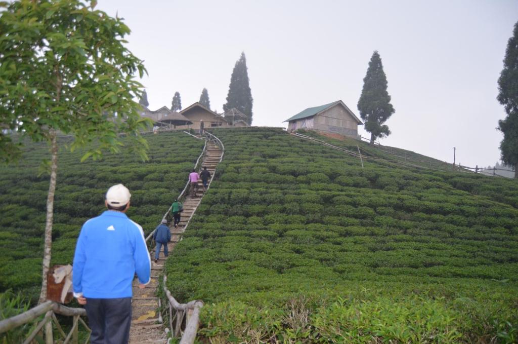 Shree Antu Community Homestay photo
