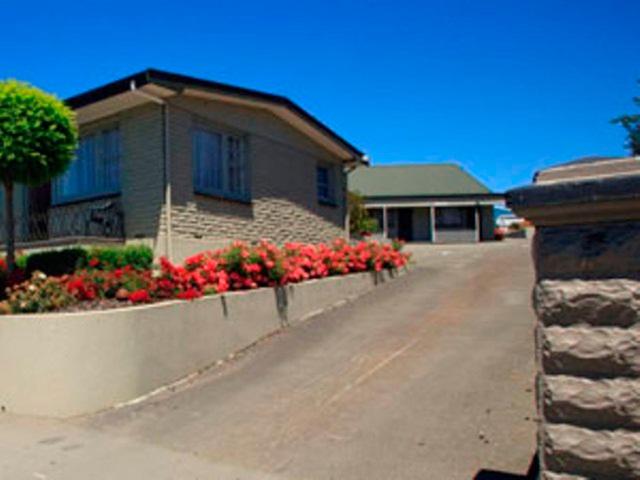 Blue Dolphin Motel photo