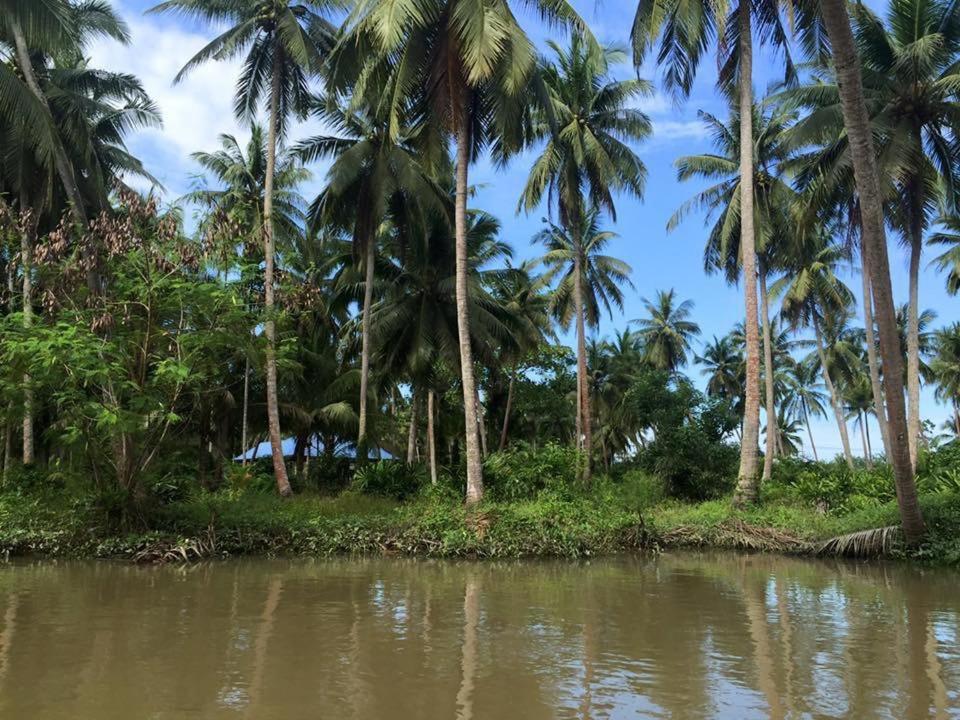 Surrounding environment