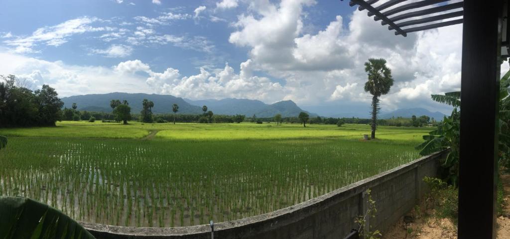 4 seasons mini house