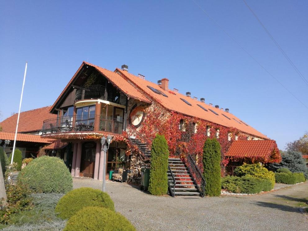 Podkowa Modliszow photo