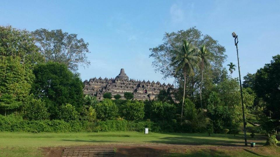 Food and beverages, Gado-gado BnB in Yogyakarta