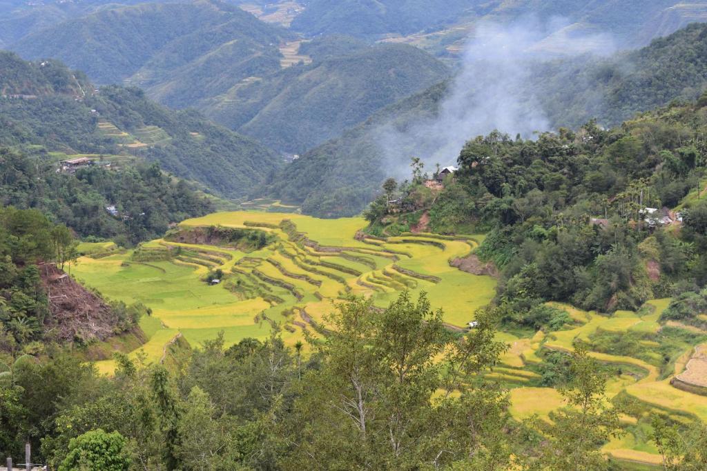 Surrounding environment