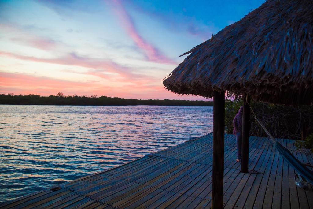 Surrounding environment