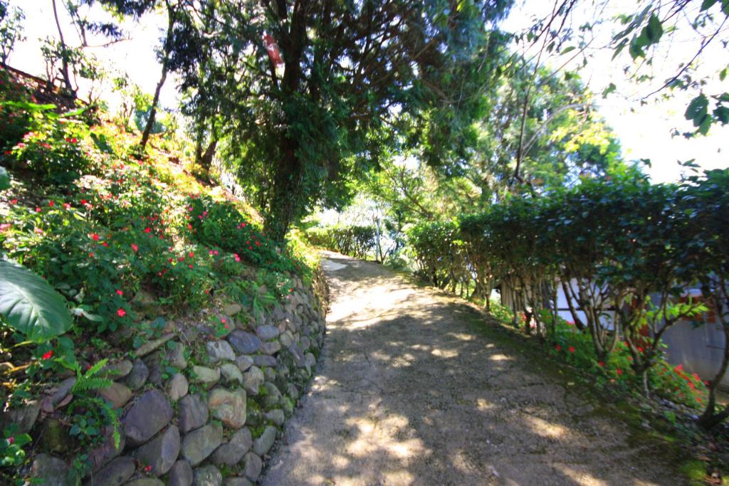 Surrounding environment