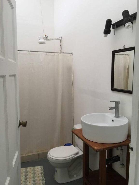Oasis photo