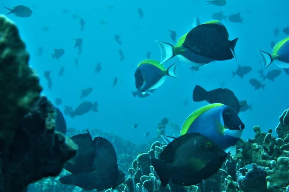 스포츠&체험활동