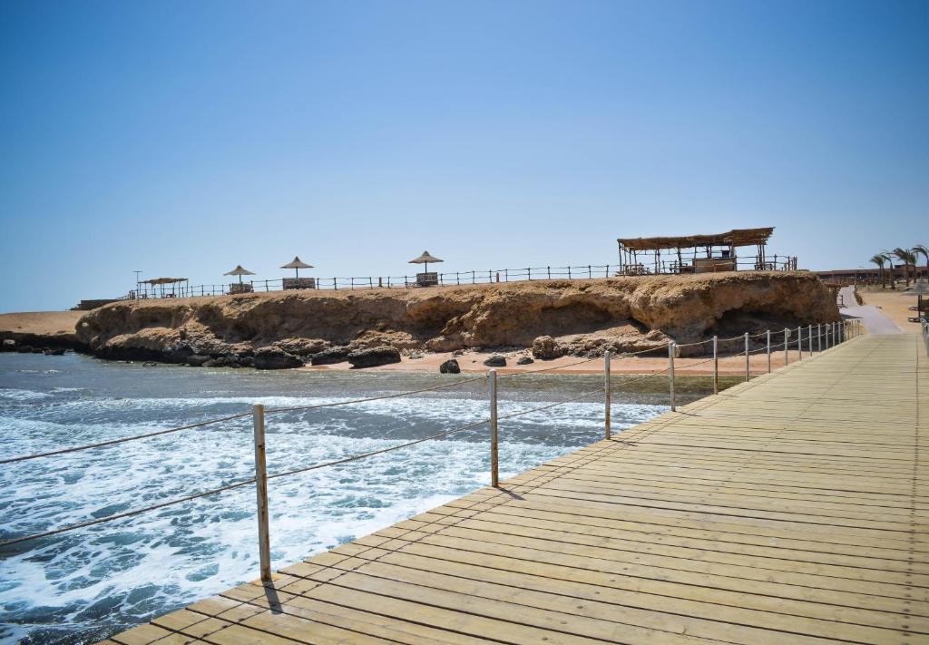 Viva Blue Resort and Diving Sharm El Naga (Adults Only) — Beach in Soma Bay, Red Sea