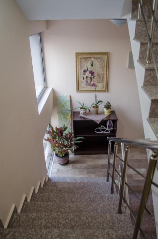 Guest House Dinevi photo