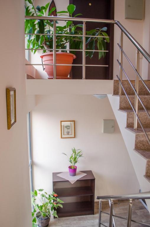 Guest House Dinevi photo