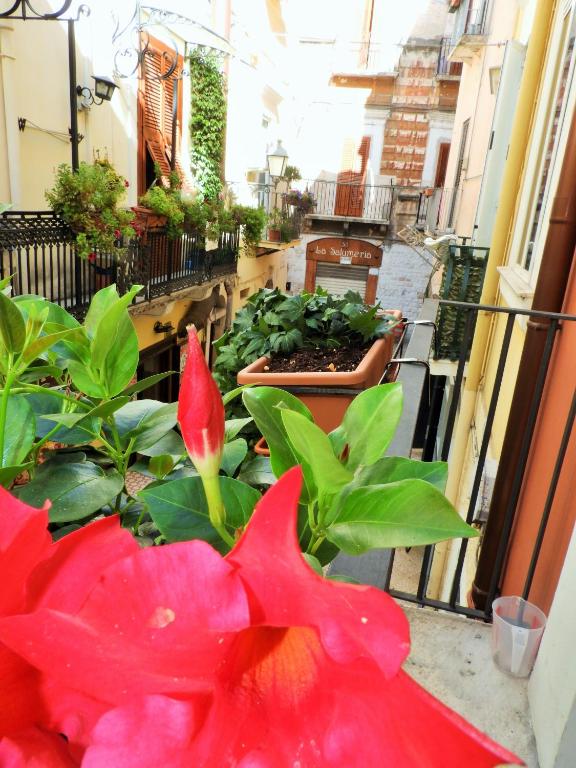 Arco Della Neve Guest House photo