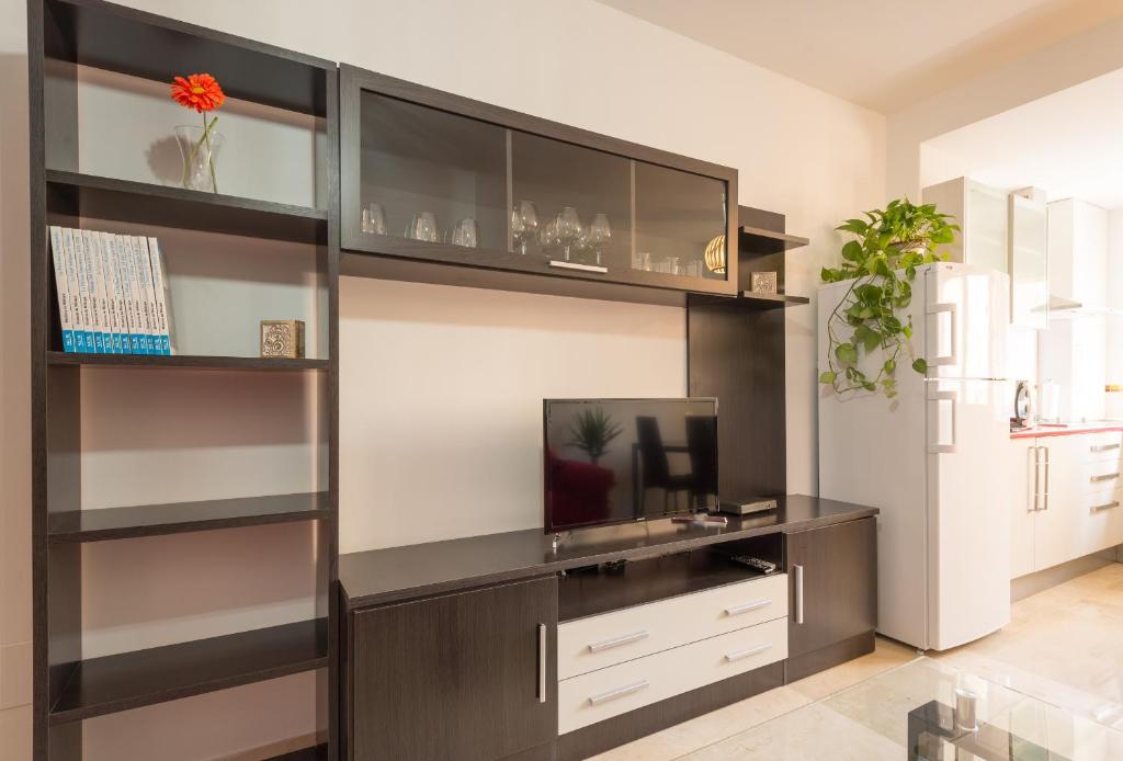 Apartamento Ventura Rodriguez 39 - 5