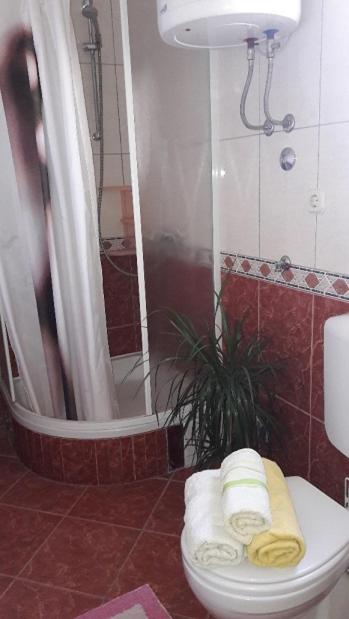 Apartmani Bilan photo