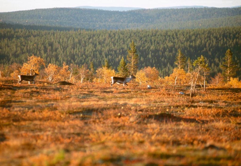 Surrounding environment