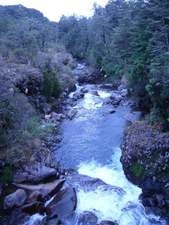 Surrounding environment
