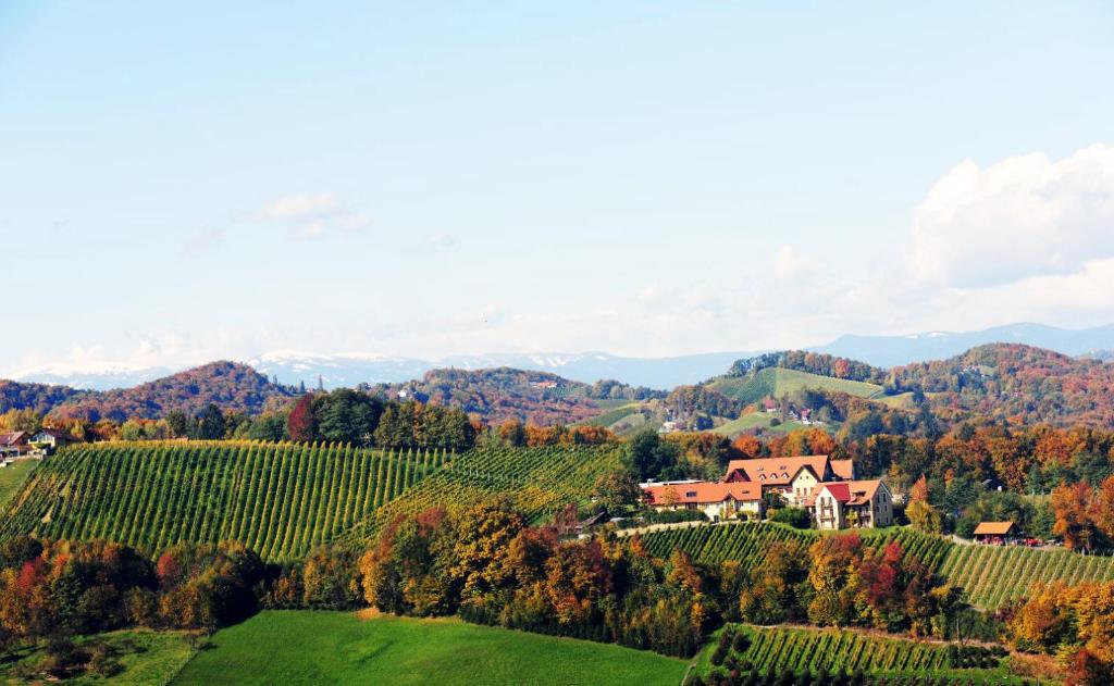 Sattlerhof Genießerhotel & Weingut - 4