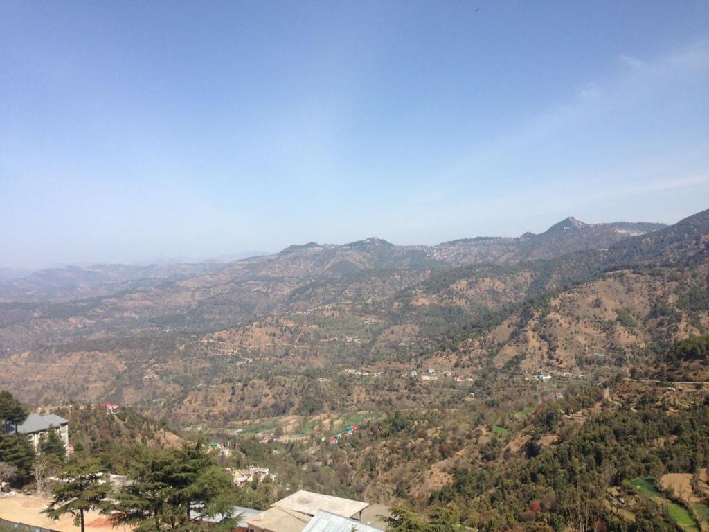 Serene Homestay in Shoghi-Shimla photo