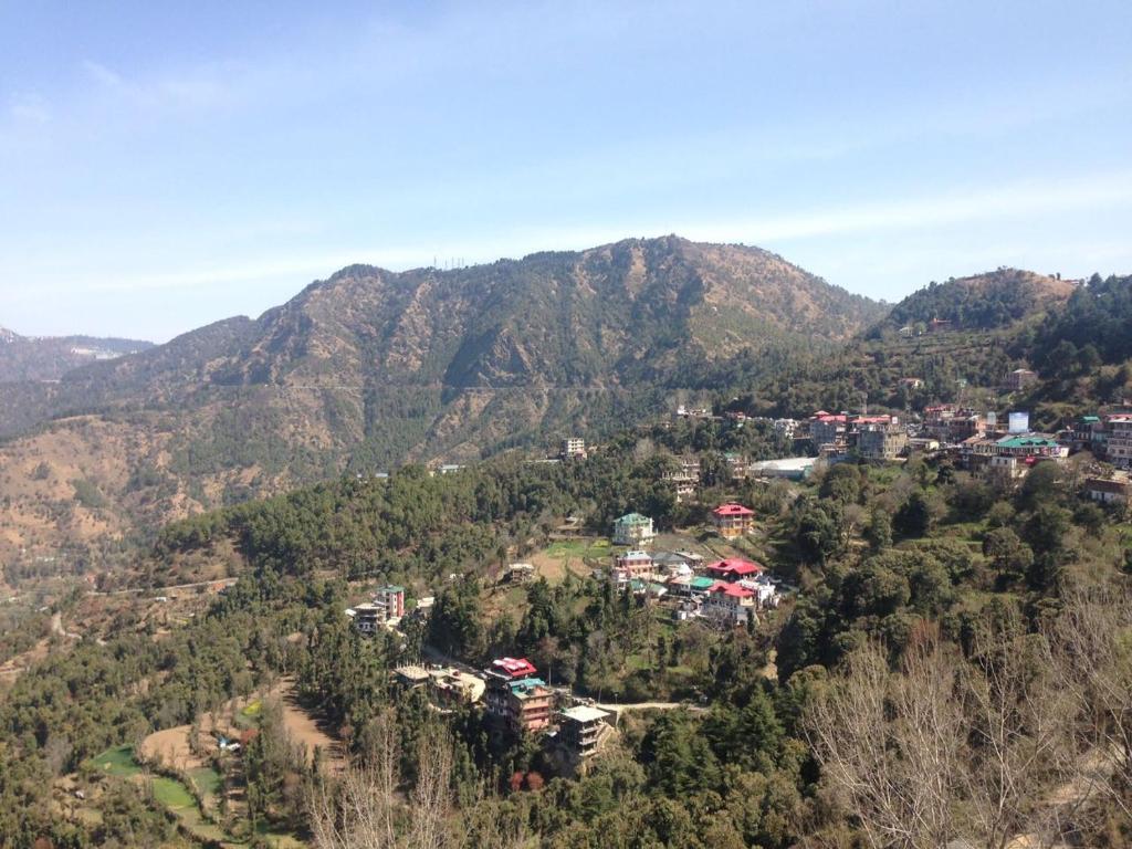 Serene Homestay in Shoghi-Shimla photo