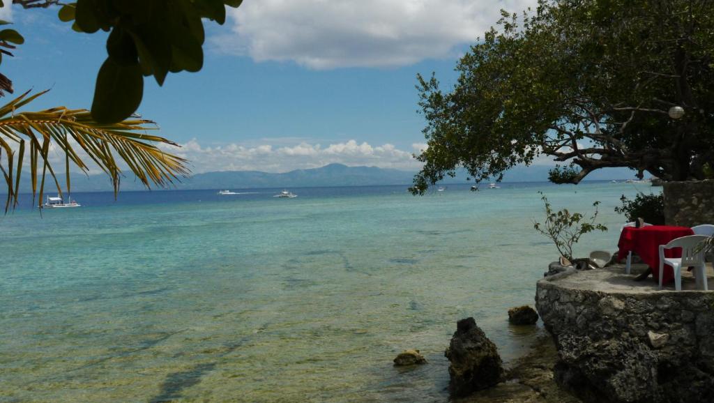 Moalboal T Breeze Coastal Resort, Cebu | 2024 Updated Prices, Deals