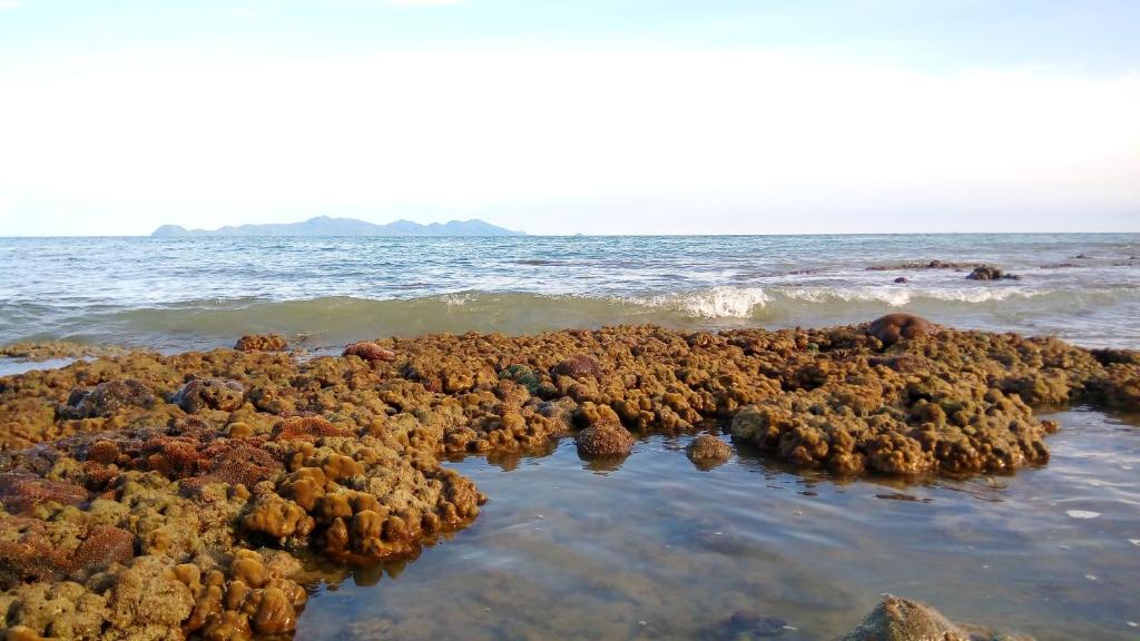 Surrounding environment