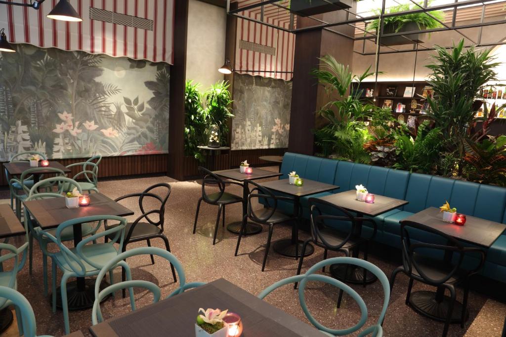 Bar/ Salón
